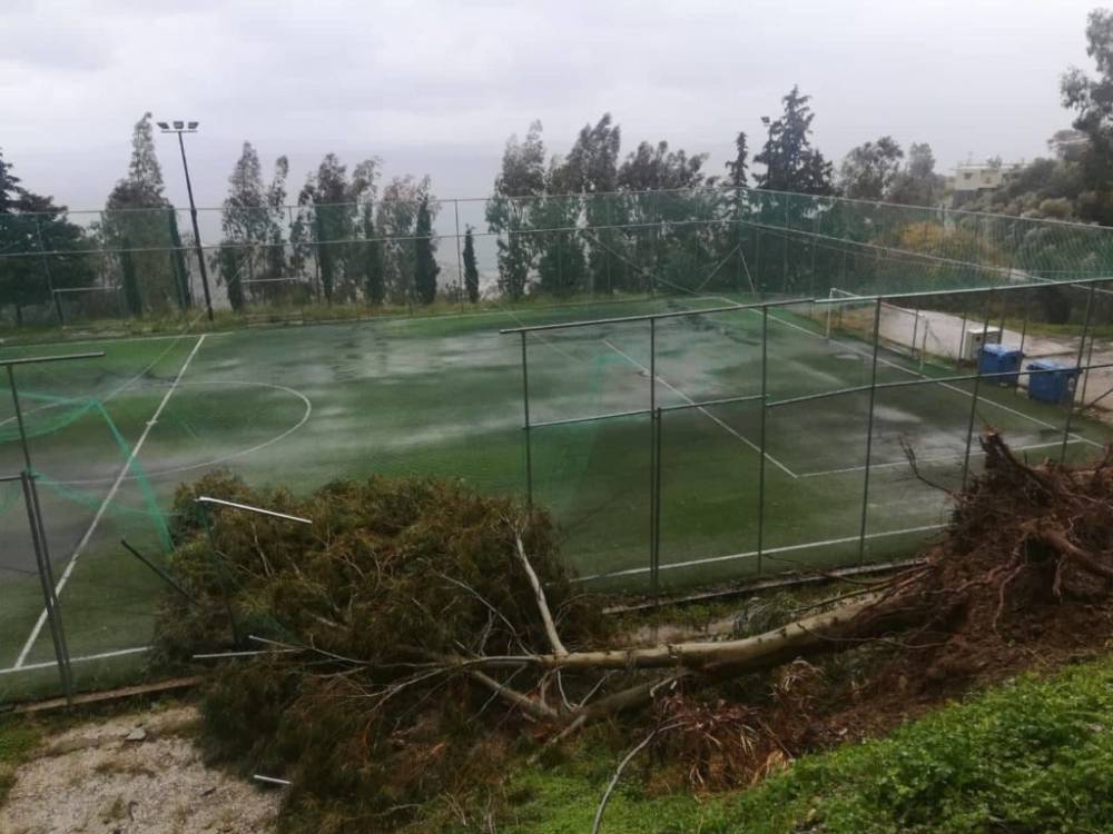 &Tau;&omicron; &delta;έ&nu;&tau;&rho;&omicron; "&pi;&lambda;ά&kappa;&omega;&sigma;&epsilon;" &tau;&omicron; &gamma;ή&pi;&epsilon;&delta;&omicron;! (&Phi;&Omega;&Tau;&Omicron;&Gamma;&Rho;&Alpha;&Phi;&Iota;&Epsilon;&Sigma;)