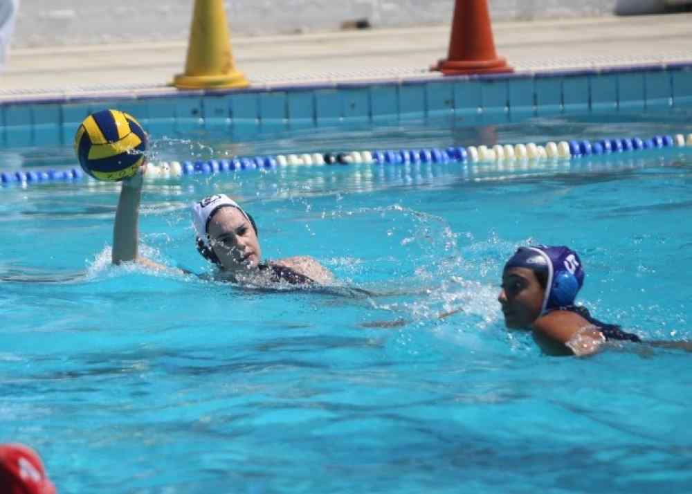 &Psi;ά&chi;&nu;&omicron;&upsilon;&nu; &tau;&omicron; &theta;&alpha;ύ&mu;&alpha; &tau;&alpha; &kappa;&omicron;&rho;ί&tau;&sigma;&iota;&alpha; &tau;&omicron;&upsilon; &Omicron;&Phi;&Eta;