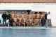 &Sigma;&tau;&iota;&sigmaf; 22 &Nu;&omicron;&epsilon;&mu;&beta;&rho;ί&omicron;&upsilon; &xi;&epsilon;&kappa;&iota;&nu;ά &tau;&omicron; &pi;&rho;&omega;&tau;ά&theta;&lambda;&eta;&mu;&alpha; Waterpolo League 2 A&nu;&delta;&rho;ώ&nu; -&Tau;&omicron; &pi;&rho;ό&gamma;&rho;&alpha;&mu;&mu;&alpha; &tau;&omicron;&upsilon; &Omicron;&Phi;&Eta;
