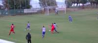 &Phi;&iota;&lambda;&iota;&kappa;ή &mu;&omicron;&iota;&rho;&alpha;&sigma;&iota;ά &gamma;&iota;&alpha; &Pi;&lambda;&alpha;&tau;&alpha;&nu;&iota;ά &kappa;&alpha;&iota; &Eta;&rho;ό&delta;&omicron;&tau;&omicron; (VIDEO)