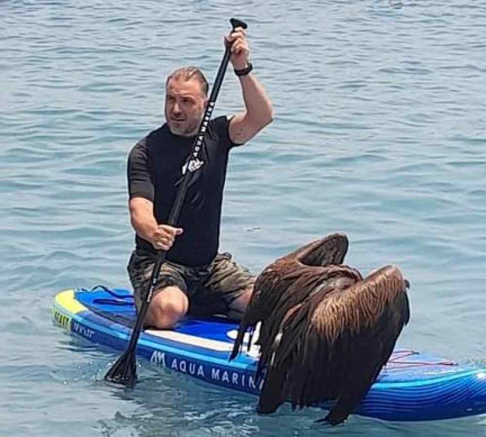 Respect &sigma;&tau;&omicron;&nu; &alpha;&rho;&chi;&eta;&gamma;ό &tau;&omicron;&upsilon; &Omicron;&Phi;&Eta;