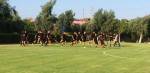 &Sigma;&tau;&eta; &Nu;&epsilon;ά&pi;&omicron;&lambda;&eta; &eta; &Kappa;19 &tau;&omicron;&upsilon; &Omicron;&Phi;&Eta;